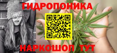 не бодяженный Камышлов