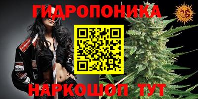 скорость mdpv Кандалакша