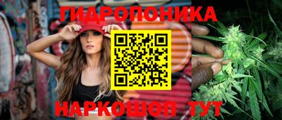 не бодяженный Камышлов