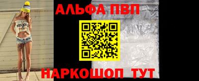 гашик Кингисепп
