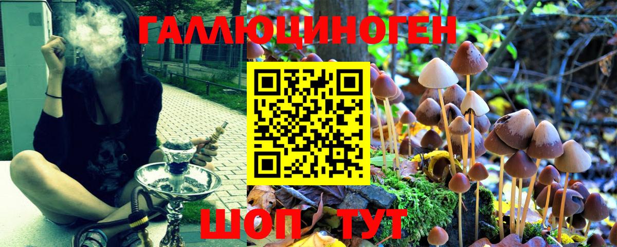 Псилоцибиновые грибы Psilocybine cubensis Туймазы